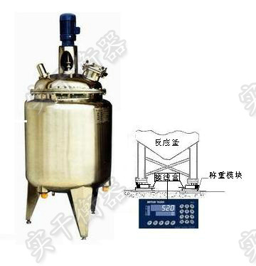 稱(chēng)重模塊