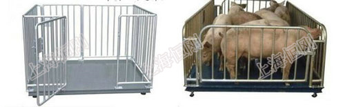 防水圍欄寵物動物秤，防腐防水動物電子稱