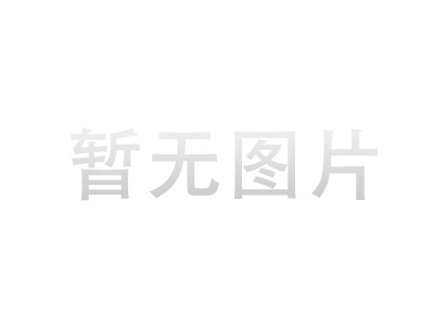 稱重連電腦智能動物稱，連電腦打印動物稱